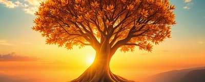 Inversiones para tu Retiro: Asegura tu Mañana Hoy