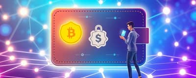 Wallets Cripto: Cómo Proteger tus Activos Digitales