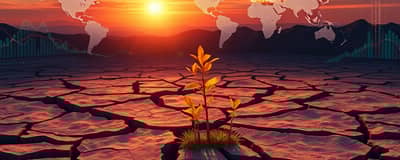 De Riesgo a Oportunidad: Transforma la Adversidad Financiera