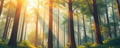 Inversión en Bosques: Carbono Neutro y Rendimiento Natural